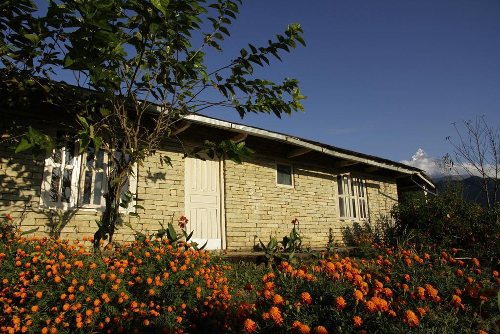 Annapurna Eco Village Покхара Экстерьер фото